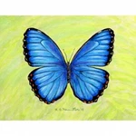 Betsy Drake PM348 Dicks Blue Morpho Place Mat - Set Of. Fixed Price $33.12.