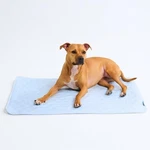 Mat For Dogs Selfcooling Washable Pet Pad Nontoxic Hearts Blue. Fixed Price $41.66.
