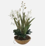 Large White Faux Phalaenopsis Moth Orchid In Textured Bowl By Uttermost. Fixed Price $198.00.