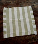 Simply Shabby Chic Rachel Ashwell Sage Green Cabana Stripe Pillow Cover 15". Fixed Price $24.99.