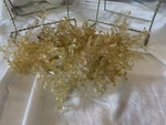 Dii Holiday Tabletop Gold Beaded Burst Napkin Ring Holder Set New. Fixed Price $29.99.