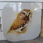 Vtg Basil Ede Owl Metal Cork Trivet Hot Pad 70S Kitchen Tin Litho Little. Fixed Price $14.79.