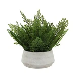 Everyday Decor Mixed Artificial Ferns In Low Ceramic Pot Table. Fixed Price $6.00.