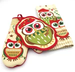 Owl Christmas Towel, Hot Pad, Glove Set Colorful Farmhouse Holiday Time C4. Fixed Price $11.99.