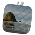 3DROSE Haystack Rock Cannon Beach, Oregon Pot Holder, 8 X. Fixed Price $11.00.