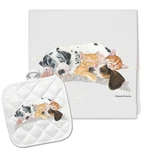 Dream Team Kitchen Dish Towel And Pot Holder Gift Set. Fixed Price $24.95.