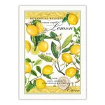 Michel Design Works Kitchen Dish Towel, Lemon Basil 20 X 28 Inches, Yellow. Fixed Price $36.99.