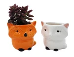 Fox Succulent Pots Ceramic Animal Planter For Cacti Small House Plants. Fixed Price $16.99.