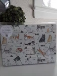 Ulster Weavers Cats! Cork Placemats Set Of 4 New In Package 11.5 X8.5 Thick. Fixed Price $28.26.