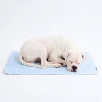 Spark Paws Selfcooling Dog Mat Xl Washable Nontoxic Pad Blue Hearts. Fixed Price $45.13.