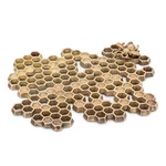 Abbott Collection Honeycomb Bee Trivet 8.5 Inch, 1 Ea, Antique Brass. Fixed Price $49.99.