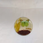 Vintage Lucite Butterfly Flower Nature Trivet 60S Resin Foliage 6.5" Pot Holder. Fixed Price $14.95.